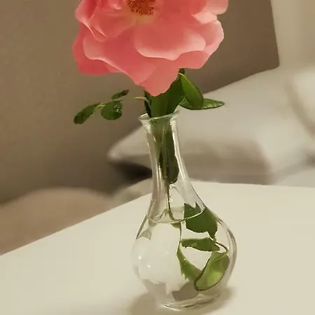 Goscinne Venezia בית אירוח *