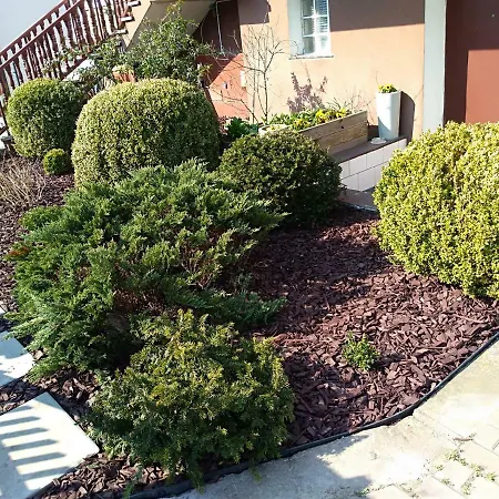 בית אירוח Goscinne Venezia צ'פלינק