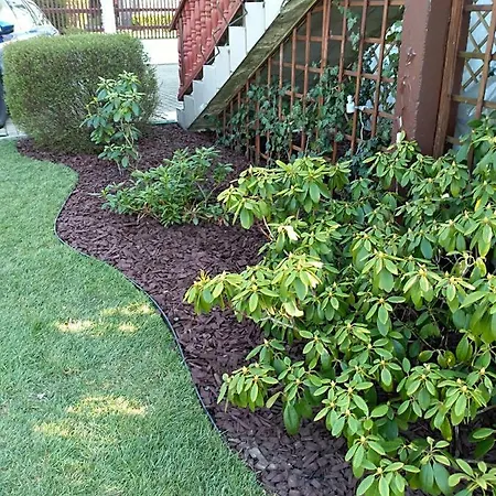 בית אירוח Goscinne Venezia