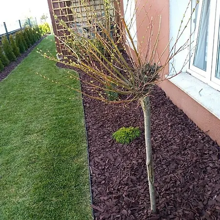 Goscinne Venezia בית אירוח