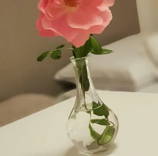 Goscinne Venezia 홈스테이 *