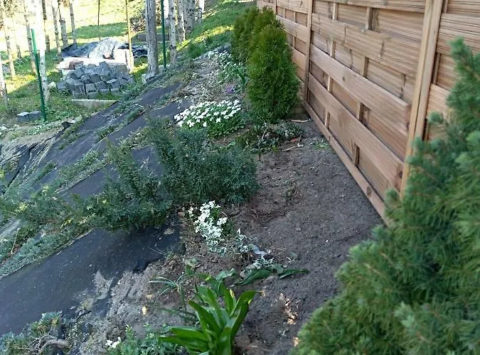 홈스테이 Goscinne Venezia *