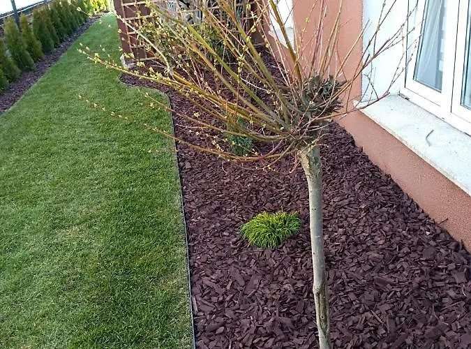 Goscinne Venezia Quarto em Acomodações Particulares