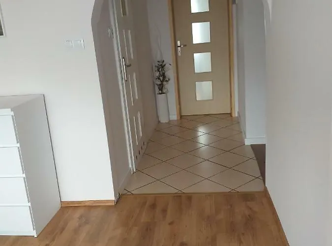 Goscinne Venezia * 차플리넥